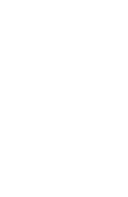 BIG FISH